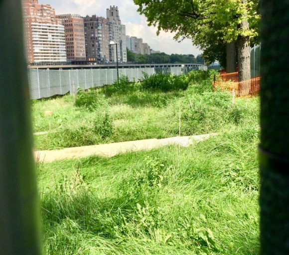 Well Past Due Date, DEP Drags Ugly Feet on Water Project Construction A season's worth of weeds and overgrown grass tell the story of an abandoned project.